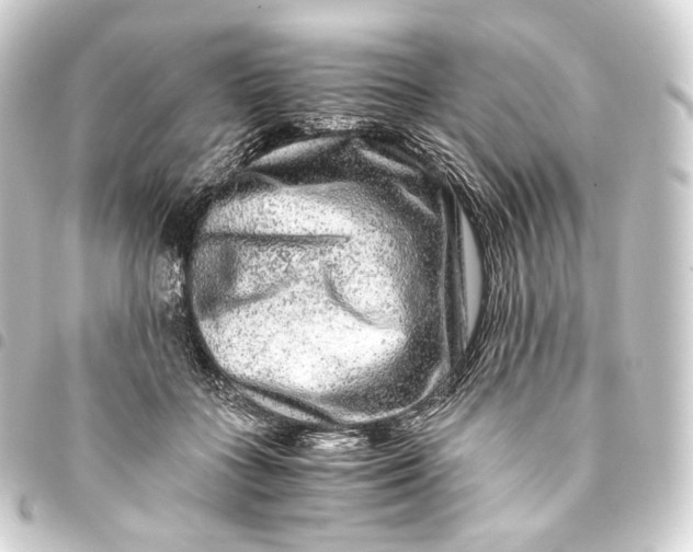 X0000093430555200711021037