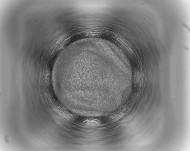 X0000093430557200711021037