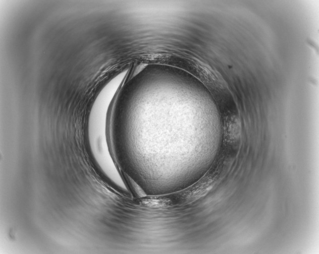 X0000093430558200711021037