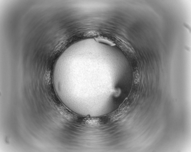 X0000093430560200711021037