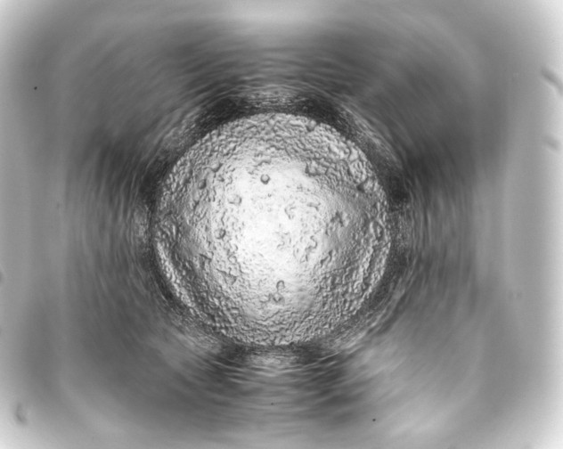 X0000093430561200711021037