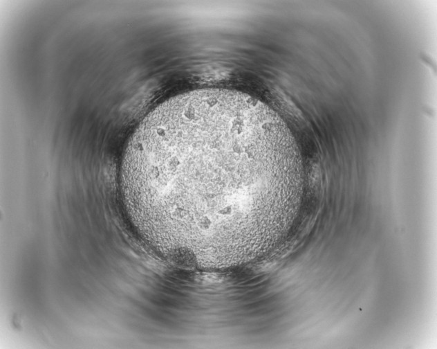 X0000093430565200711021037