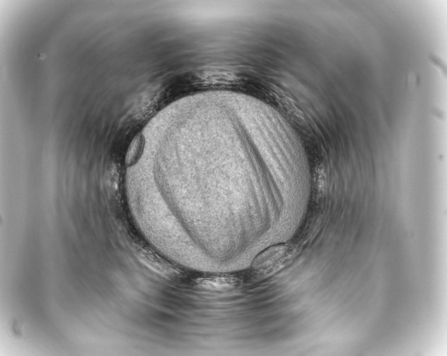 X0000093430567200711021037