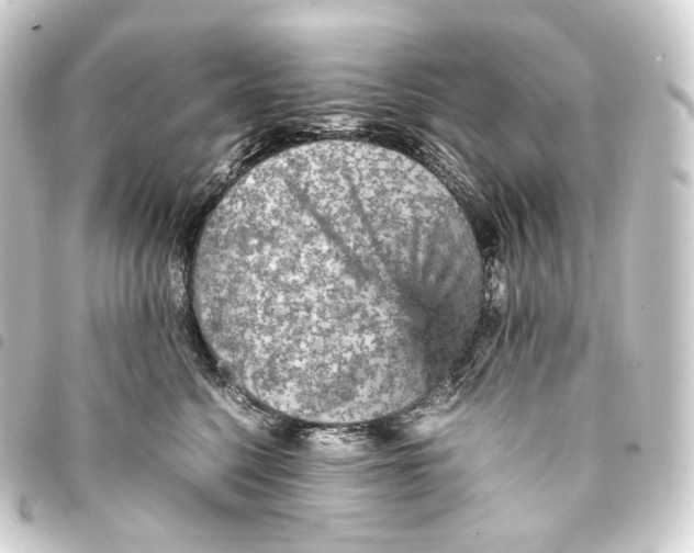 X0000093430568200711021037