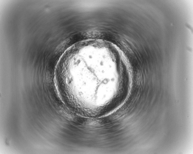 X0000093430569200711021037