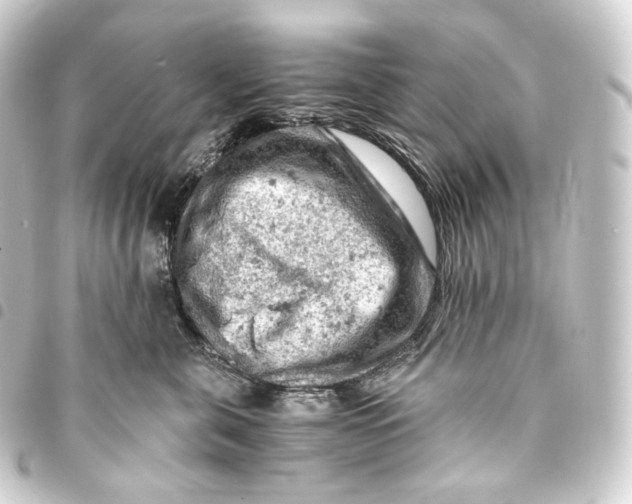 X0000093430571200711021037