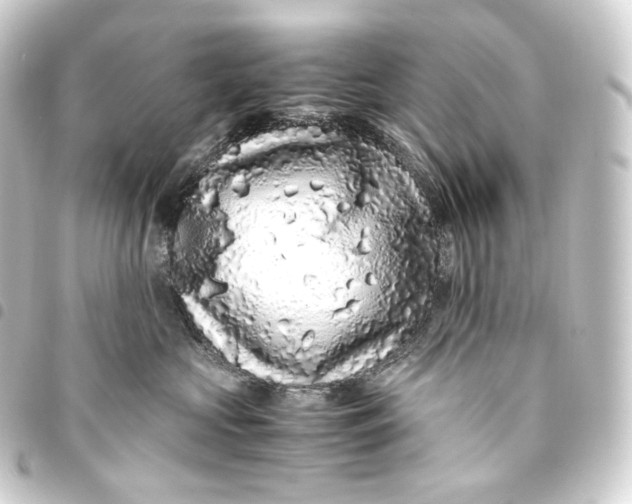 X0000093430573200711021037