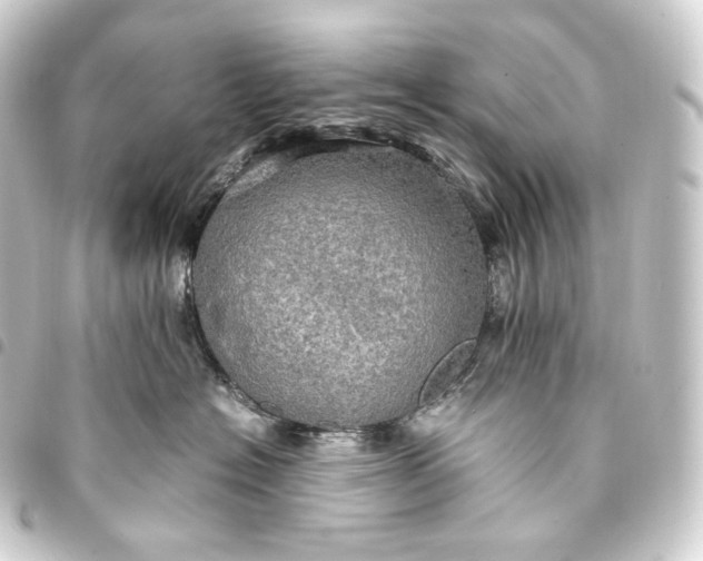 X0000093430574200711021037