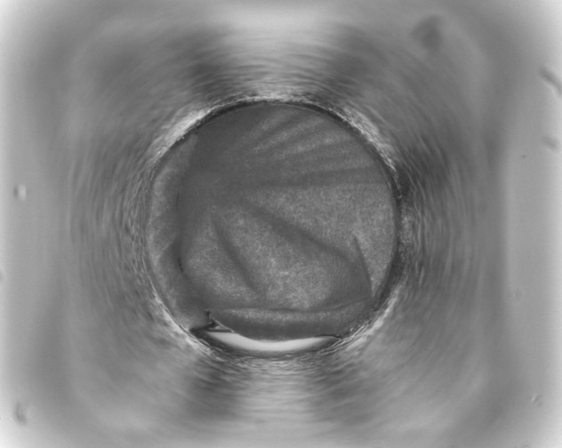 X0000093430577200711021036