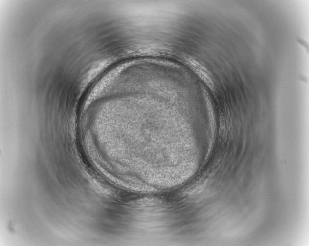 X0000093430578200711021036