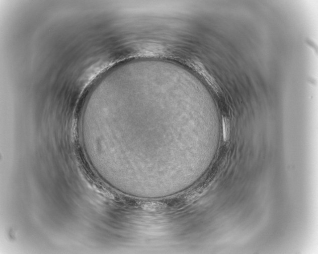 X0000093430579200711021036