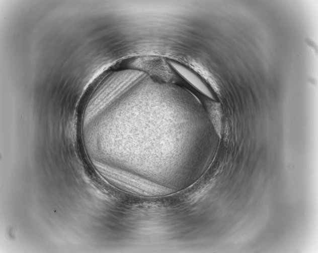 X0000093430580200711021036