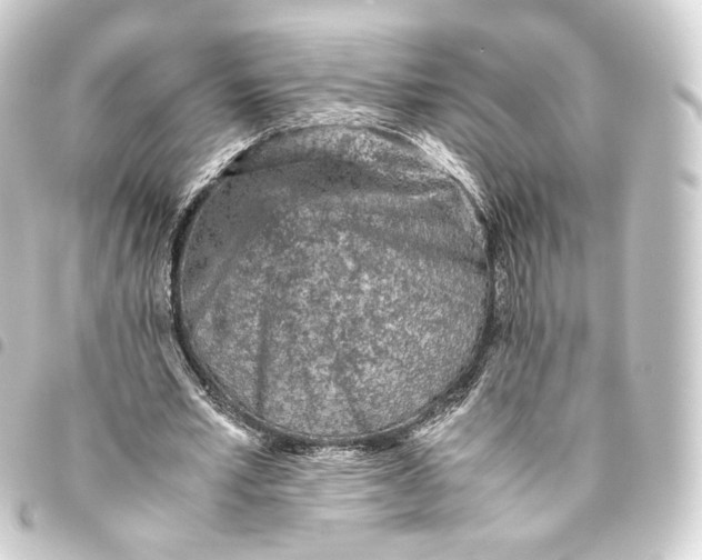 X0000093430581200711021036