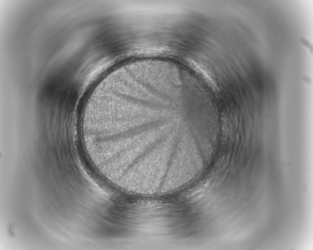 X0000093430582200711021036