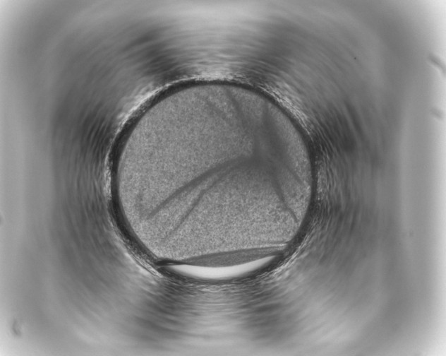 X0000093430584200711021036