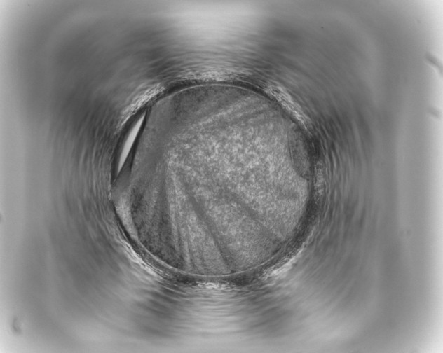 X0000093430585200711021036