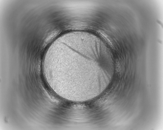 X0000093430586200711021036