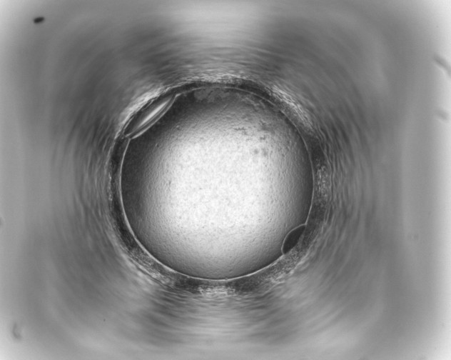 X0000093430587200711021036