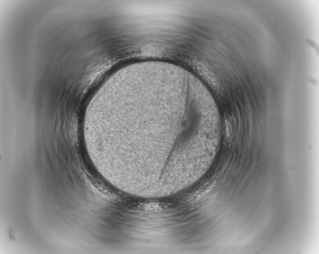 X0000093430588200711021036