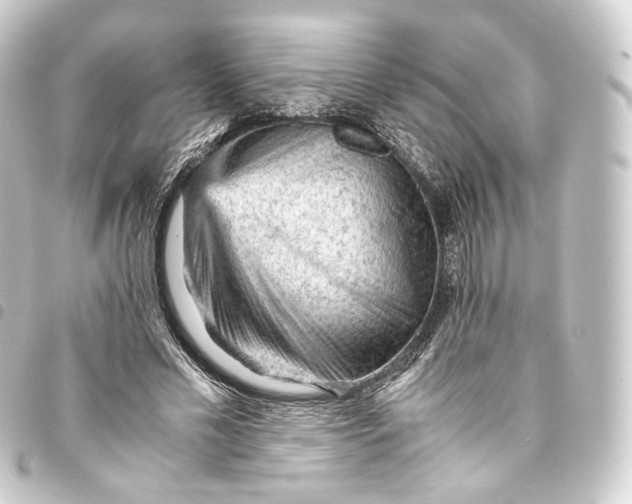 X0000093430589200711021036