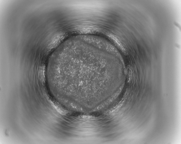 X0000093430590200711021036