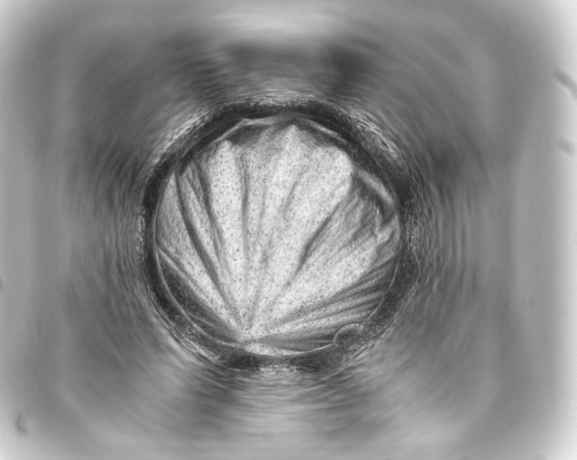 X0000093430591200711021036