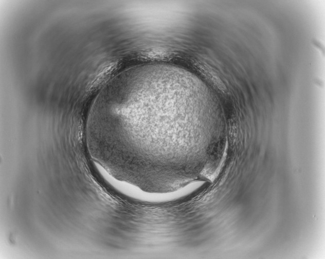 X0000093430593200711021036