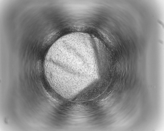 X0000093430594200711021036