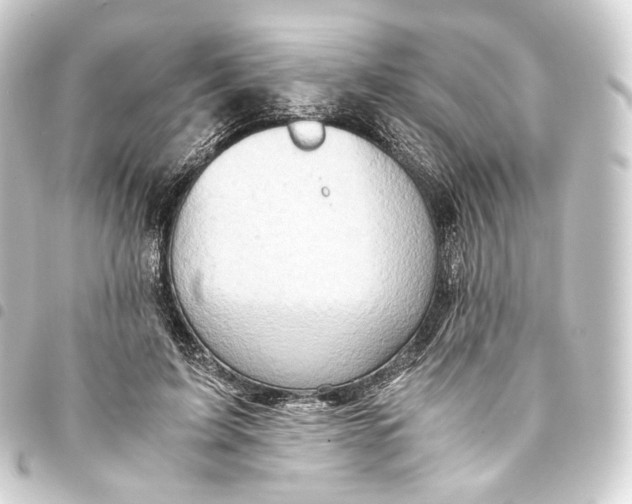 X0000093430595200711021036