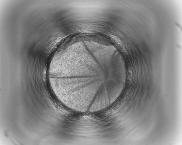 X0000093430596200711021036