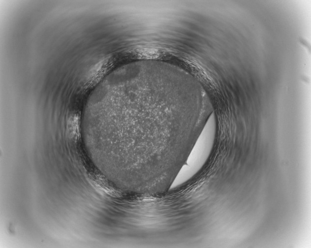 X0000093430598200711021036