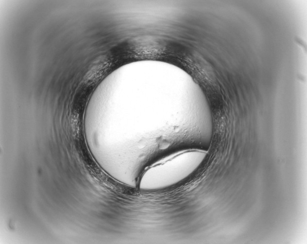 X0000093430599200711021036