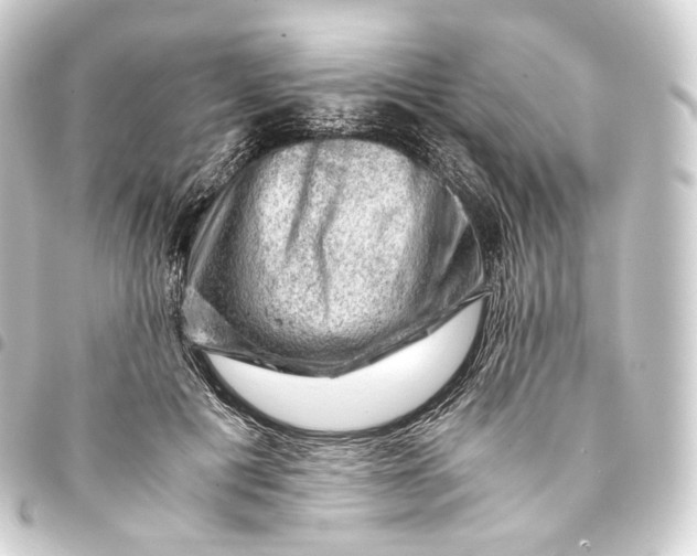 X0000093430601200711021036