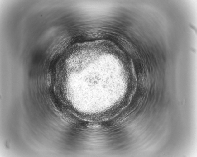 X0000093430602200711021036