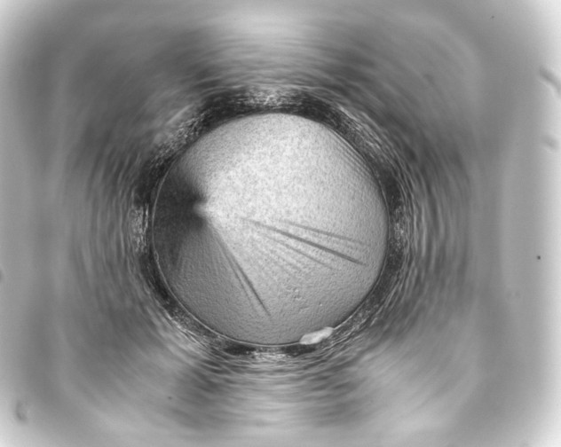 X0000093430605200711021036