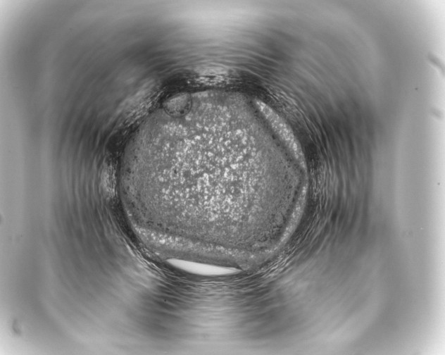 X0000093430606200711021036