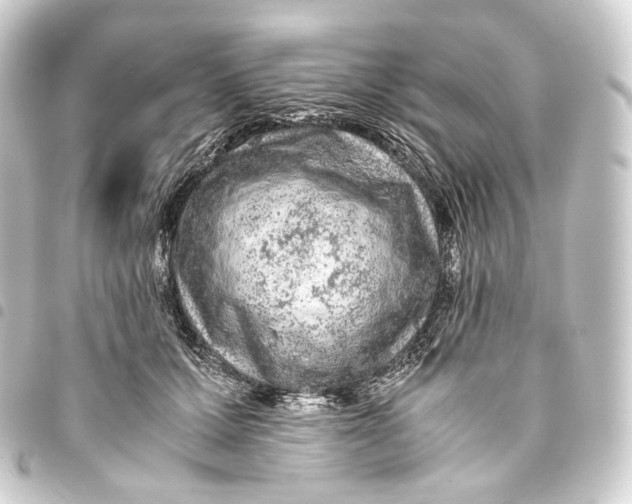 X0000093430607200711021036