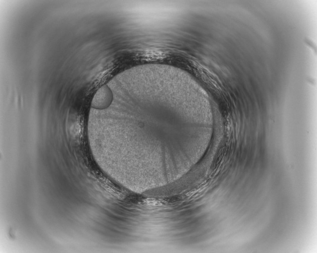 X0000093430608200711021036