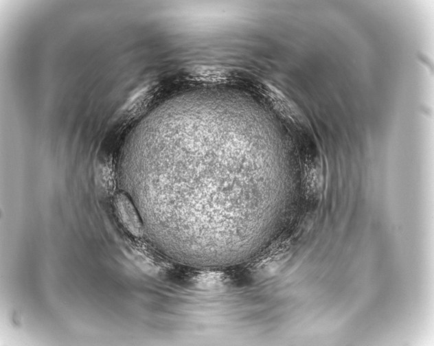 X0000093430609200711021036