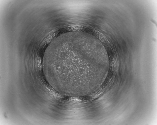 X0000093430610200711021036