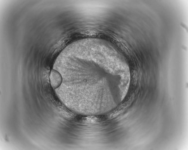 X0000093430612200711021036