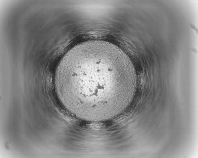 X0000093430615200711021036