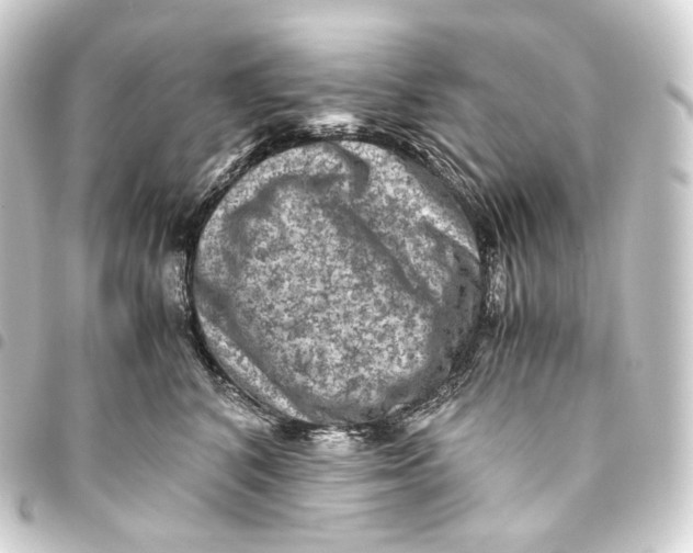 X0000093430616200711021036