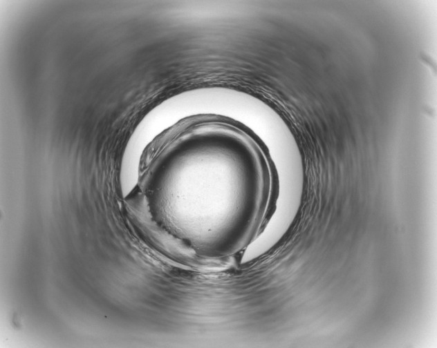 X0000093430617200711021036