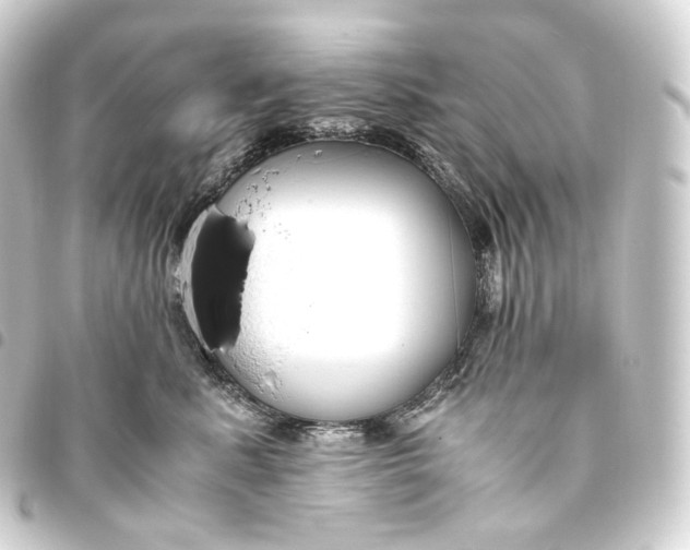 X0000093430619200711021036