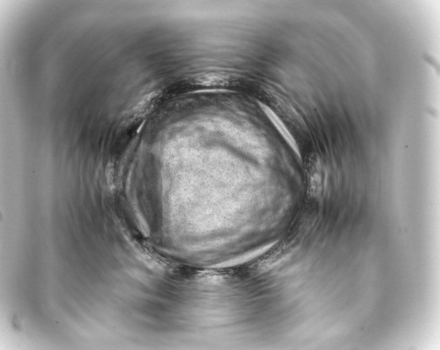 X0000093430620200711021036