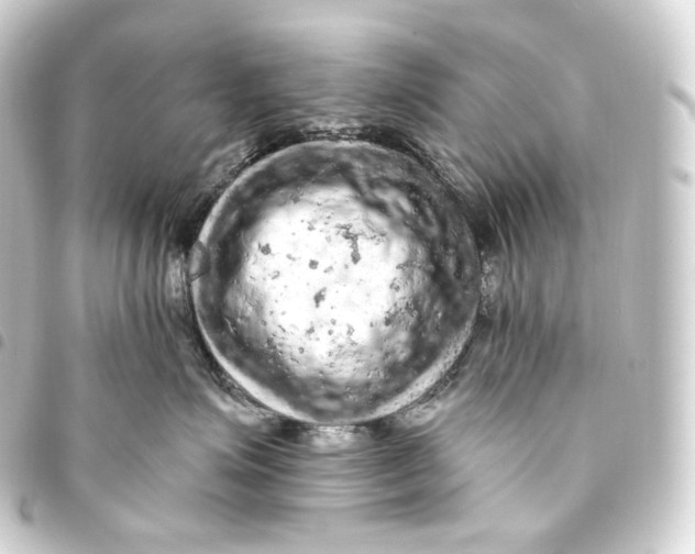 X0000093430623200711021036