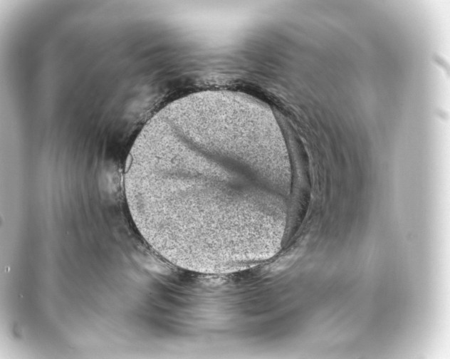 X0000093430624200711021036