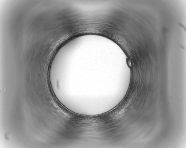 X0000093430625200711021035