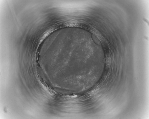 X0000093430626200711021035